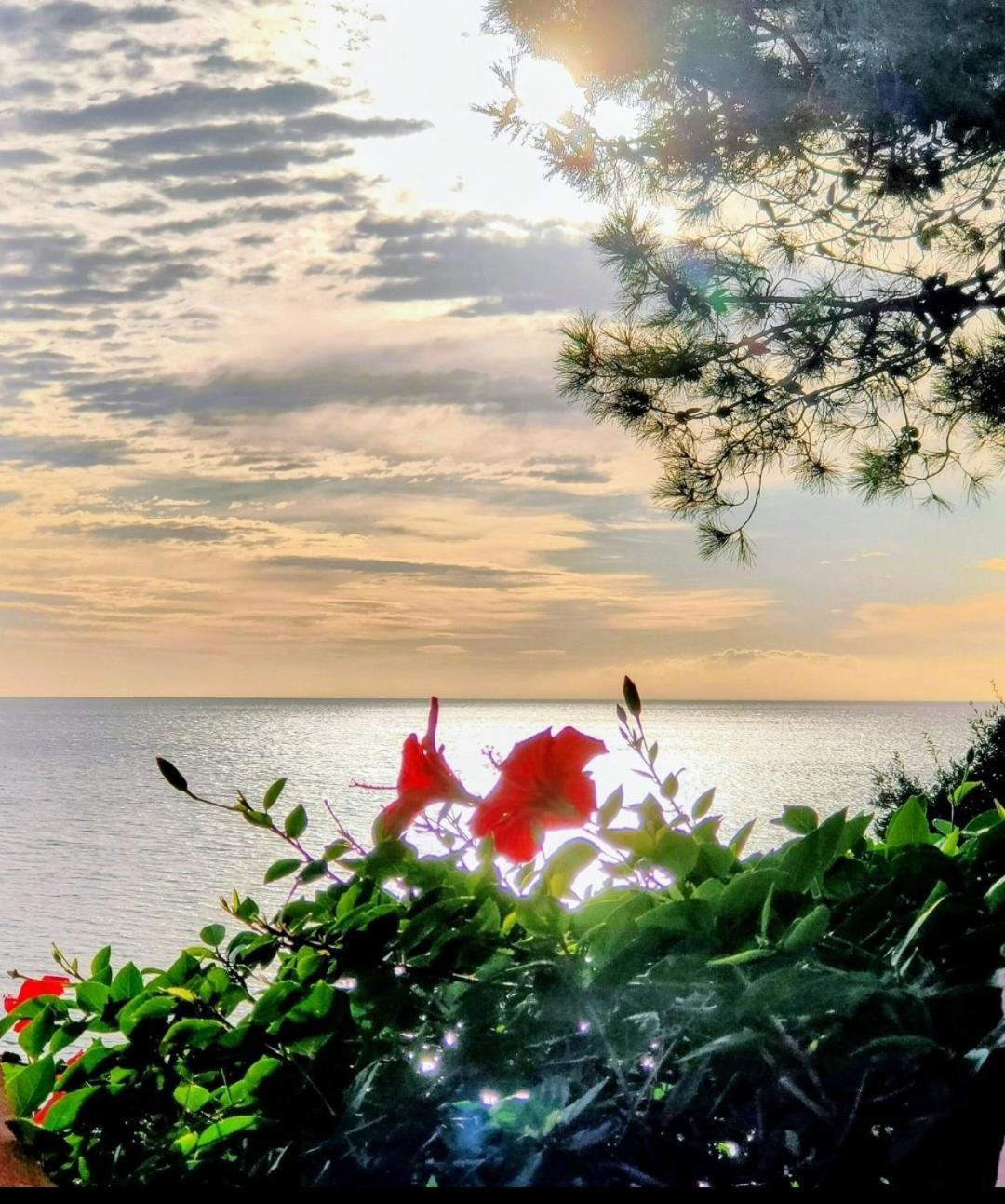 Studio Vue Sur Mer Conca Exterior foto